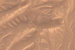 Загадочные линии в песках Египта