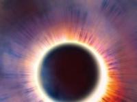 Краденое Солнце: учёные предупредили о катастрофе в случае затемнения света по всей планете