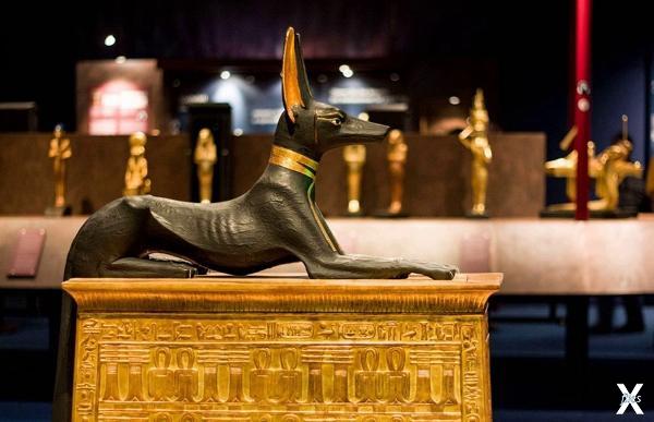 Статуя Анубиса из гробница Тутанхамон...