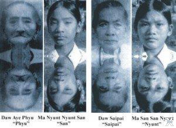 Бирманские близнецы