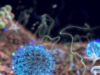 Вирусы - живые существа или мёртвая материя?