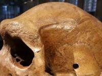 Загадка «Родезийского черепа», или «Огнестрел» возрастом 300 тысяч лет