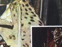 Культ людей-леопардов в Западной Африке