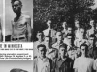 Добровольное голодание: чем закончился Миннесотский эксперимент 1944 года