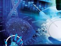 Генетический анализ ДНК при раскрытии преступлений