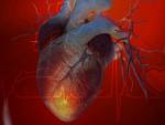 Как пересадка сердца изменяет душу человека?