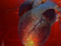 Как пересадка сердца изменяет душу человека?