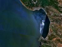 Упорядоченный хаос залива Монтерей