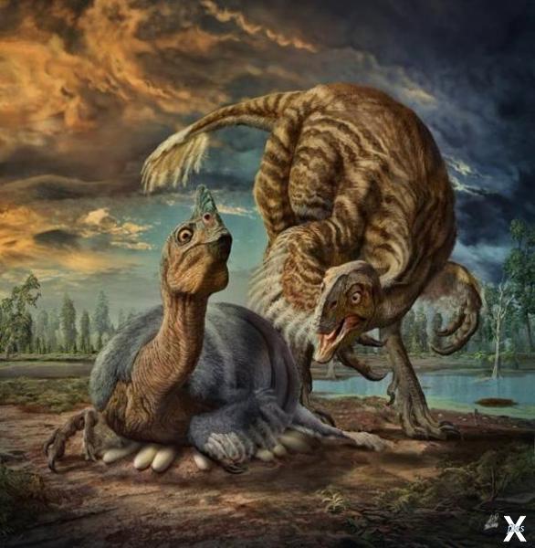 Динозавры высиживали свои яйца многие...