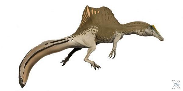 Современная реконструкция спинозавра