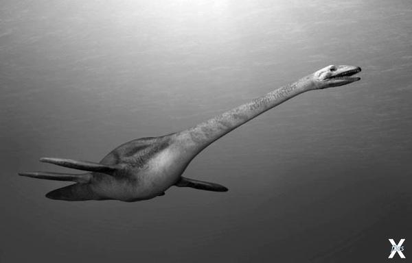 Хищный водоплавающий ящер Плезиозавр