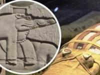 Город гадов Крокодилополь: Как египтяне поклонялись богу с головой рептилии и зачем им тысячи мумий крокодилов