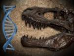 ДНК динозавра сегодня: миф или реальность?