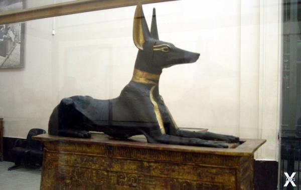В Древнем Египте люди поклонялись бог...