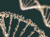 У человека обнаружены следы неизвестного ДНК