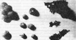 Черные сферы неприродного происхождения: что в 1961 году ученые обнаружили на берегу Онежского озера