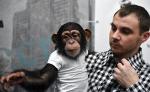 Обнаружен патоген, убивающий редких шимпанзе. Угрожает ли он человеку?