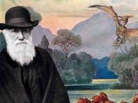 Об эволюционной теории Дарвина: откуда берутся люди?
