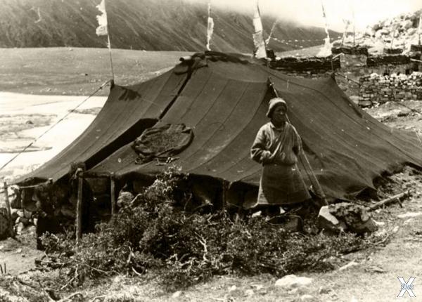 Тибетский кочевник. 1938 год