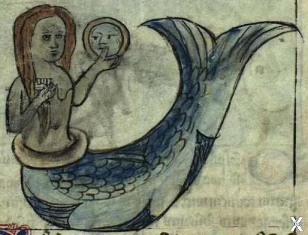 В средневековье русалок изображали с ...