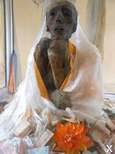 Найденная в 1975 году в Индии мумия б...