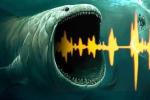 Загадка глубоководного звука «Блуп»: гигантское морское чудовище или айсберг?