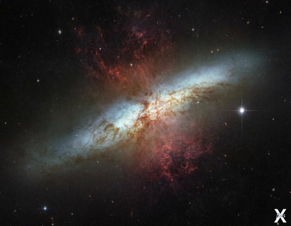 Галактика Сигара (М82). Видимый диск ...