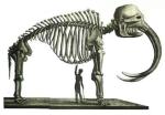 Доисторические животные, которых не было