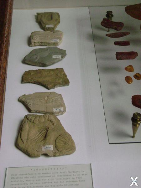 Несколько камней Берингера в музее Те...