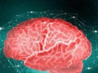 Какие феномены человеческого мозга не могут объяснить ученые