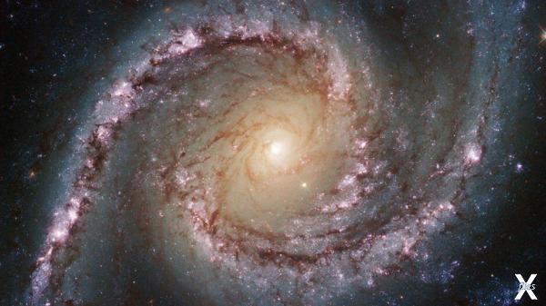 NGC 1566 - уникальная Сейфертовская г...