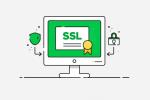 SSL-сертификат для продвижения и защиты бизнеса