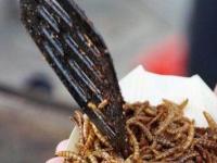 Европа впервые одобрила мучных червей как безопасную и полезную пищу для людей
