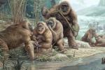 «Водоплавающая обезьяна»: почему учёные говорят о «водном» происхождении человека