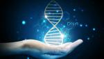 ДНК: путь к познанию замыслов Творца. Создаст ли генетика идеальных людей?