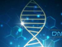 ДНК: путь к познанию замыслов Творца. Создаст ли генетика идеальных людей?