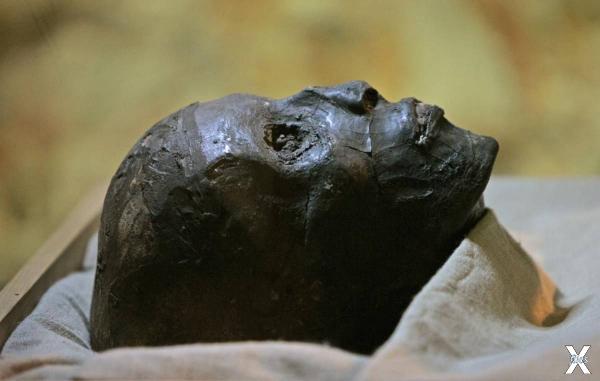 Лицо мумии Тутанхамона