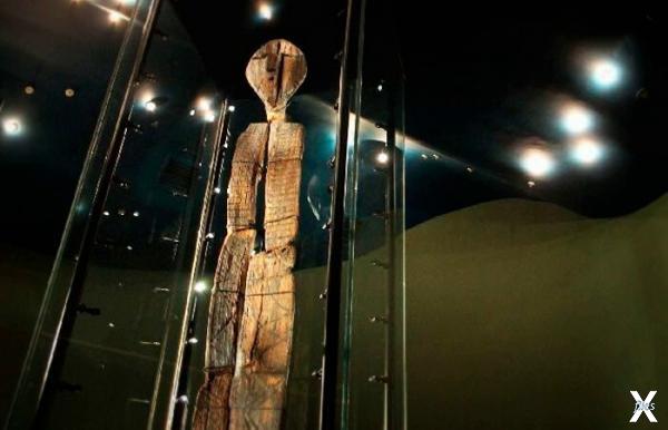 Шигирский идол в музейной витрине
