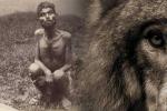 История Дина Саничар: Маугли без стаи