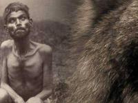История Дина Саничар: Маугли без стаи
