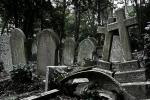 Вампир с кладбища Хайгейт