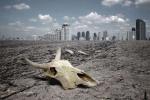 Шестое массовое вымирание: реальность или «мусорная наука»?