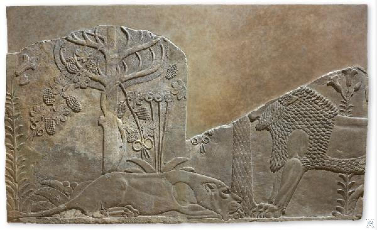Библиотека царя ашшурбанапала 5 класс впр. Ашшурбанапал рельеф. Дворец Ашшурбанапала раненая львица. Ассирийский царь Ашшурбанапал. Ашшурбанапала Кальху.