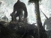 Скальные обезьяны Вьетнама: криптид в джунглях во время войны