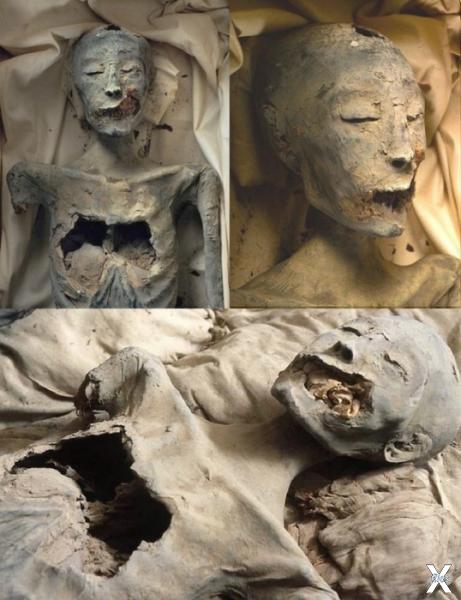 Предполагаемая мумия Нефертити KV35YL...