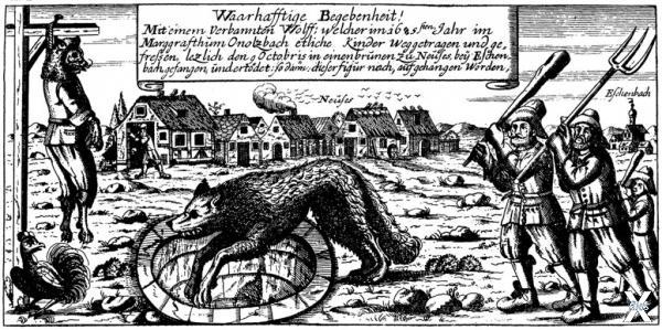 Поимка и демонстрация волка из Ансбаха