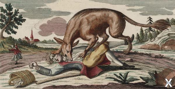 Жеводанский зверь, гравюра 1764 года