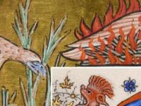 Тайные символы в иллюстрированных рукописях и манускриптах