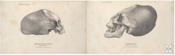 Литографии Джона Коллинза, 1839 год, ...