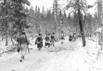 Как финский солдат проглотил 30 таблеток метамфетамина, подорвался на мине и прошел 400 километров по лесу посреди Второй мировой